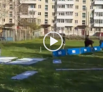 Главная 360x320